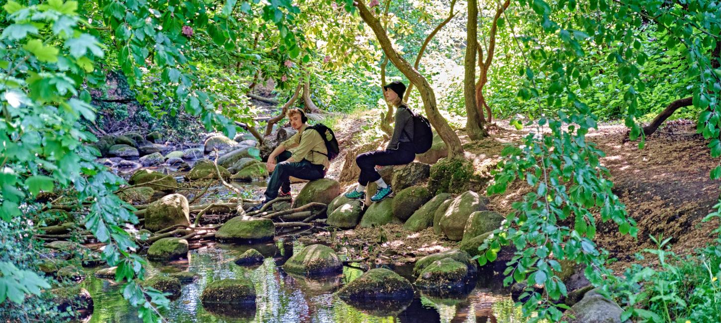 Gæster lytter til Carl Nielsens Camino i sydfynsk skov