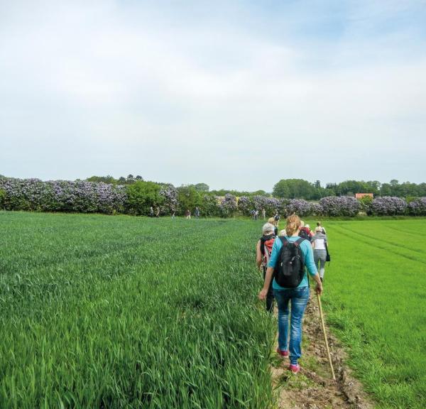 Wandern im Land des Flieders