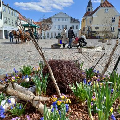 Easter flowers at the square