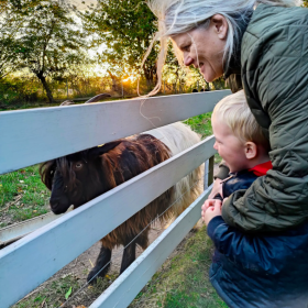 En bedsteforældre krammer sit barnebarn mens de ser på geder.