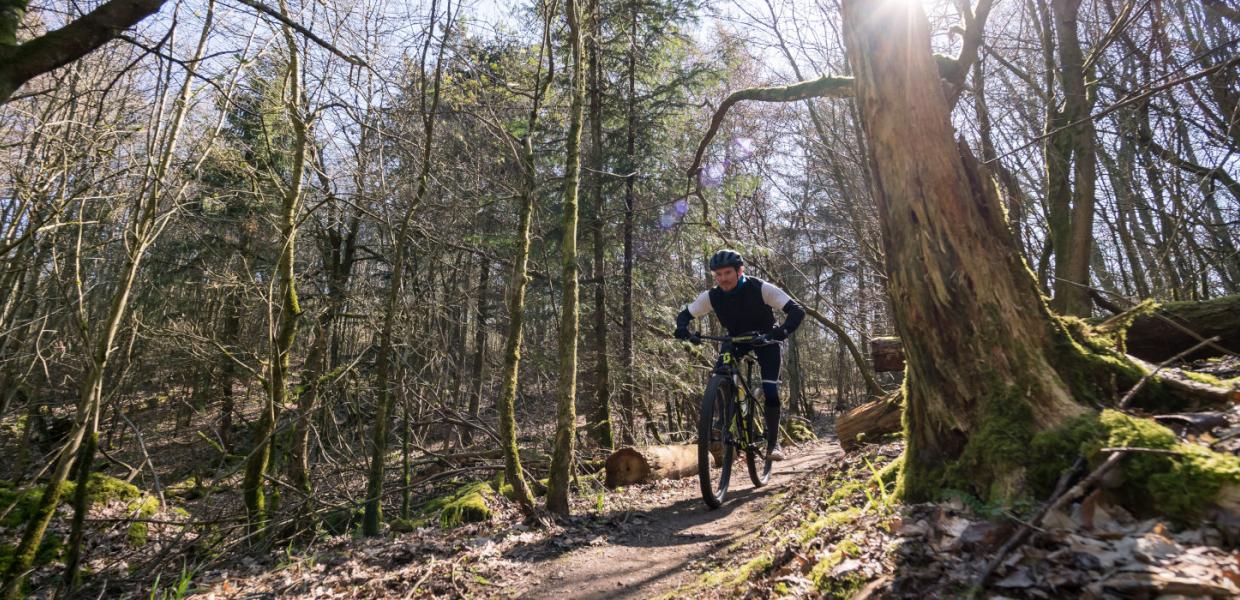 Mountainbikespor i naturområdet Svanninge Bakker | Efterår i skoven | VisitFaaborg